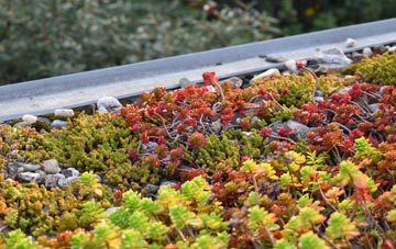 the cost of Shortlees green roof installation