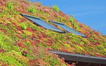Shortlees living roof systems