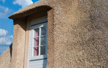 Shortlees thatch roof disadvantages